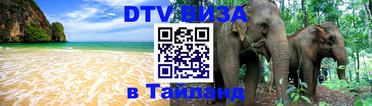 Сколько стоит DTV виза — актуальные цены, оформление даже без документов - 